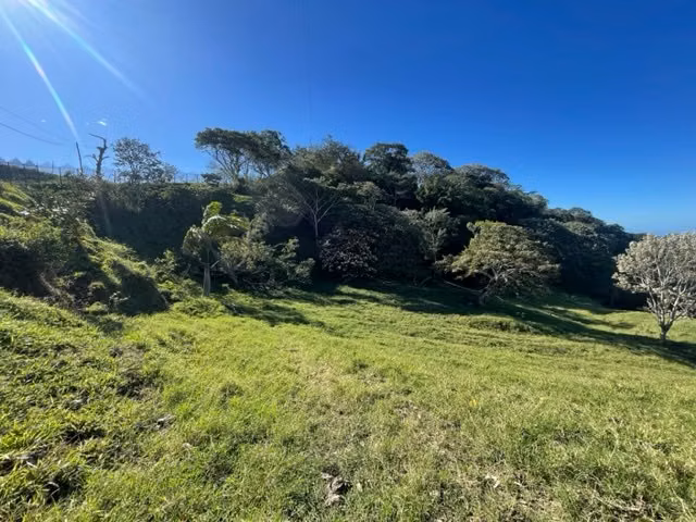 Finca ideal para urbanización con vistas asombrosas