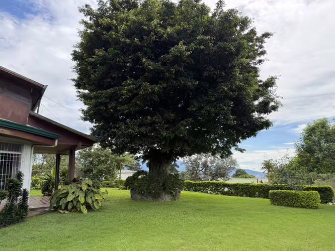 San Ramón de tres ríos Alquiler Casa