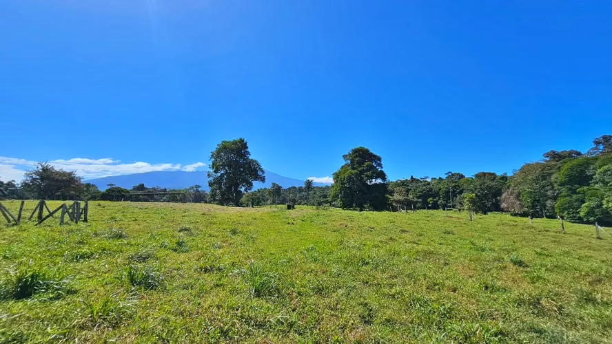 VENTA DE FINCA GANADERA EN GUÁCIMO DE LIMON 80 HA -04