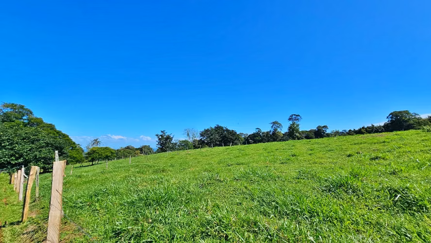VENTA DE FINCA GANADERA EN GUÁCIMO DE LIMON 80 HA -04