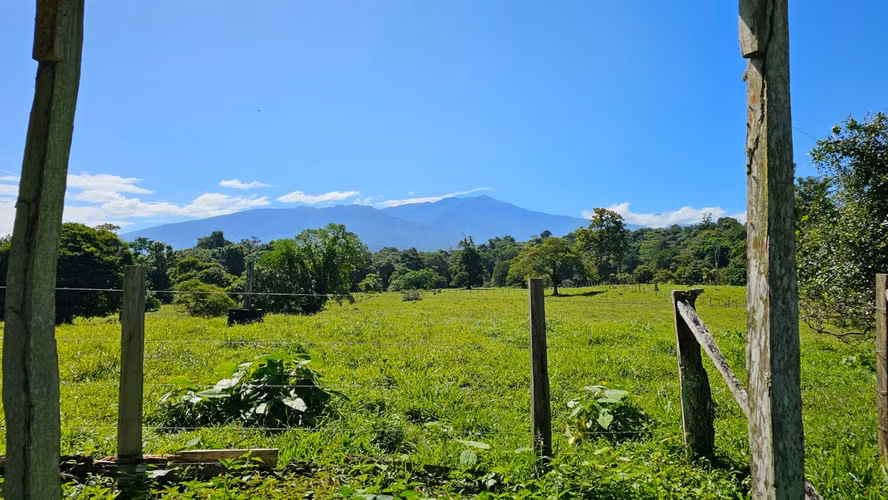 VENTA DE FINCA GANADERA EN GUÁCIMO DE LIMON 80 HA -04