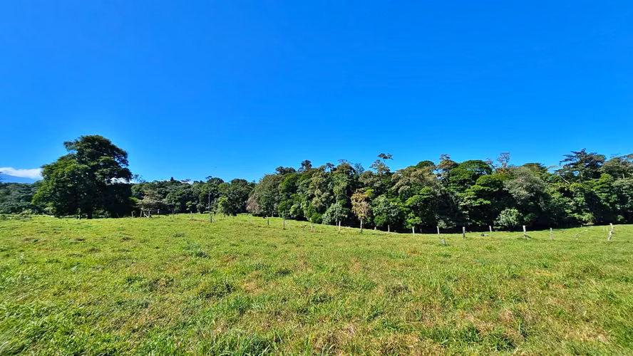 VENTA DE FINCA GANADERA EN GUÁCIMO DE LIMON 80 HA -04