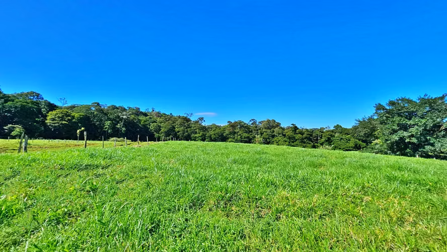 VENTA DE FINCA GANADERA EN GUÁCIMO DE LIMON 80 HA -04
