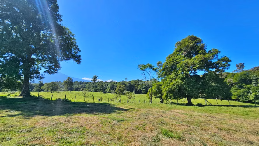 VENTA DE FINCA GANADERA EN GUÁCIMO DE LIMON 80 HA -04
