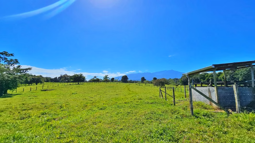VENTA DE FINCA GANADERA EN GUÁCIMO DE LIMON 80 HA -04