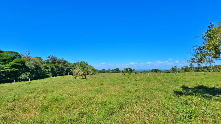 VENTA DE FINCA GANADERA EN GUÁCIMO DE LIMON 80 HA -04