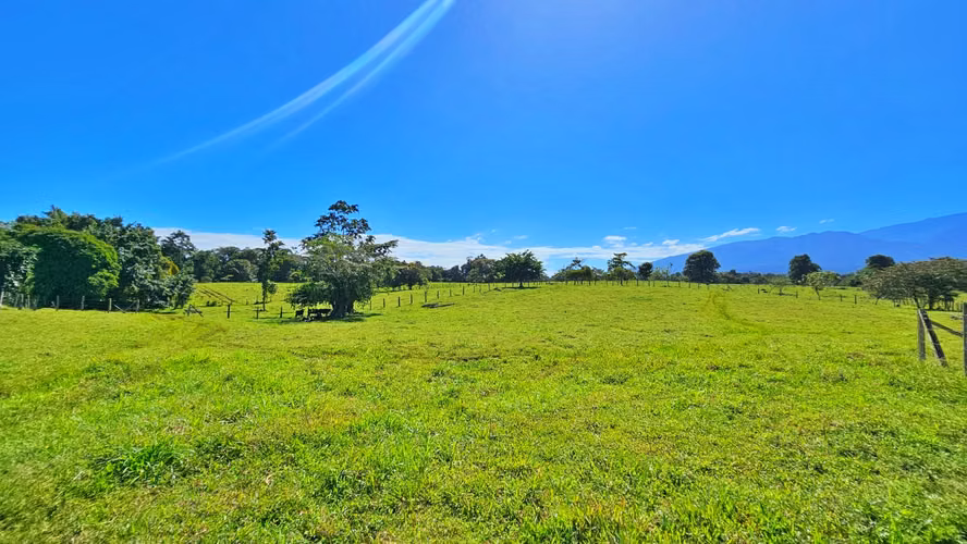 VENTA DE FINCA GANADERA EN GUÁCIMO DE LIMON 80 HA -04