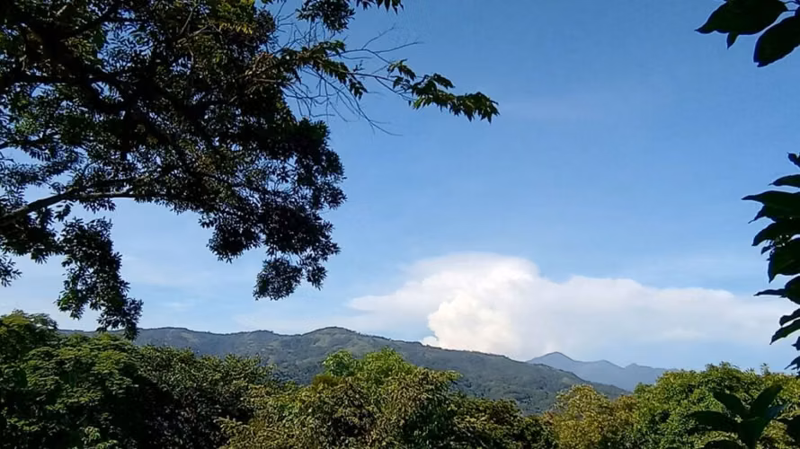 El mejor precio para un lote de 1200m2 en la naturaleza de Atenas - Imagen 3