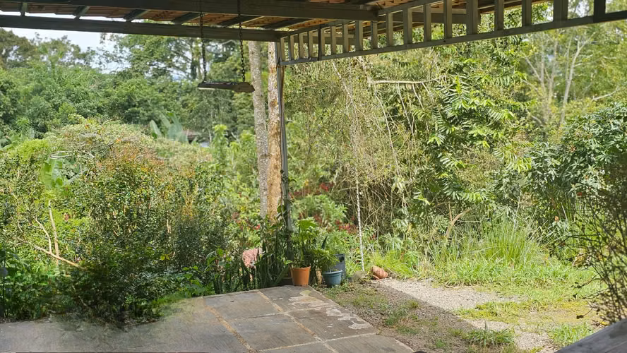Venta de Bodega y Local Comercial en San Ramón, Alajuela