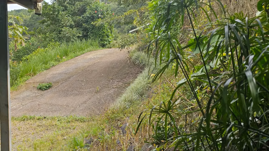 Venta de Bodega y Local Comercial en San Ramón, Alajuela