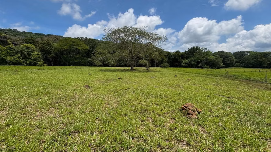 Lote uso mixto de 2000m2 y 5000m2 en $110,000 en Balsilla - Imagen 8