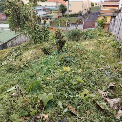 Land for sale in San Pedro , San Jose KE ID 27128