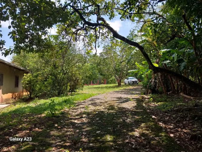 QUINTA EN OROTINA A LA VENTA