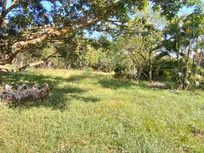 QUINTA EN OROTINA A LA VENTA