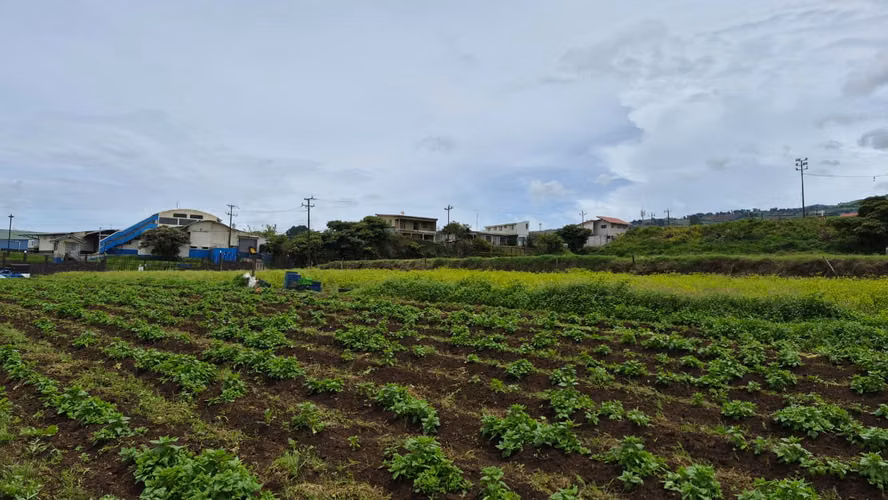 Terreno en Venta en Paso Ancho de Oreamuno, Cartago | 3.333 m² de Oportunidad y Potencial - Imagen 6