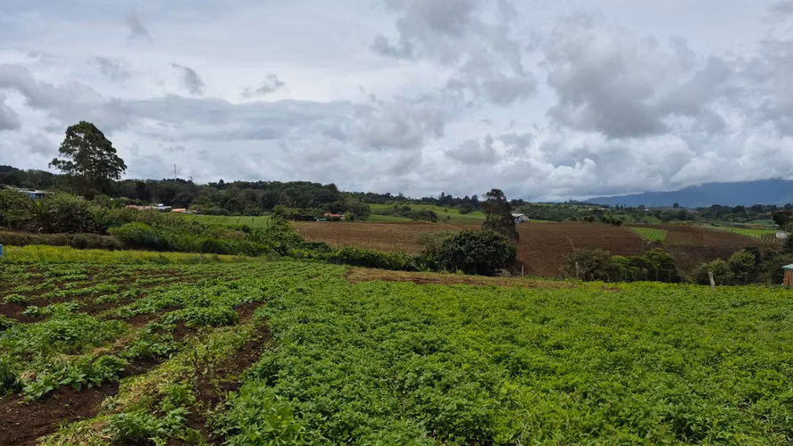 Terreno en Venta en Paso Ancho de Oreamuno, Cartago | 3.333 m² de Oportunidad y Potencial - Imagen 12