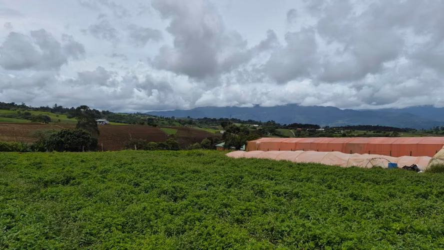 Terreno en Venta en Paso Ancho de Oreamuno, Cartago | 3.333 m² de Oportunidad y Potencial - Imagen 18