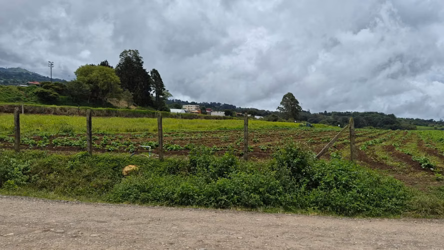 Terreno en Venta en Paso Ancho de Oreamuno, Cartago | 3.333 m² de Oportunidad y Potencial - Imagen 4