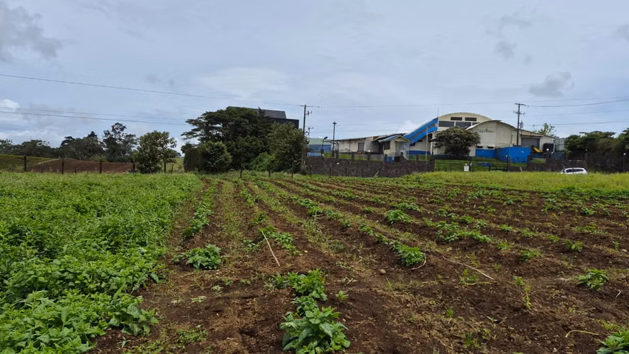 Terreno en Venta en Paso Ancho de Oreamuno, Cartago | 3.333 m² de Oportunidad y Potencial - Imagen 10