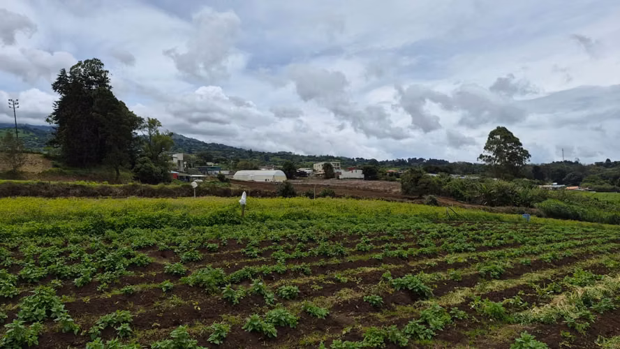 Terreno en Venta en Paso Ancho de Oreamuno, Cartago | 3.333 m² de Oportunidad y Potencial - Imagen 17