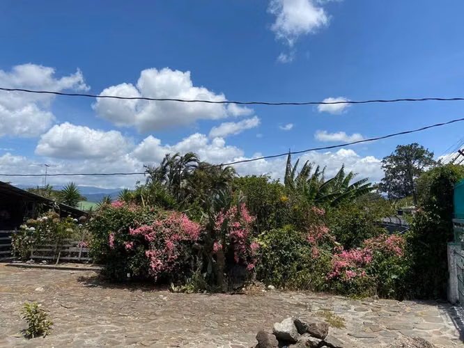 Land for Sale 13431