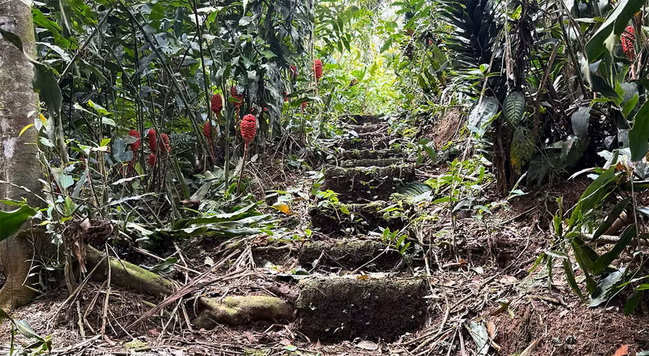Oasis Ecológico Listo para Invertir: Finca de 4.5 Acres con Dos Casas en San Ramón
