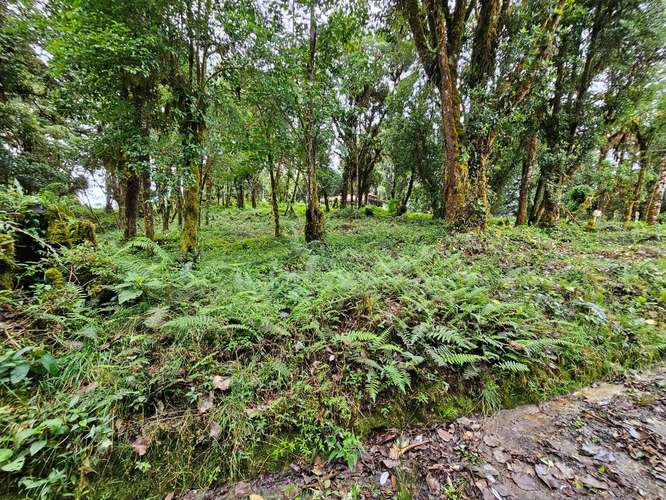 Venta de Lote en Cañón del Guarco | 2.440 m² | Alta Plusvalía - Imagen 19