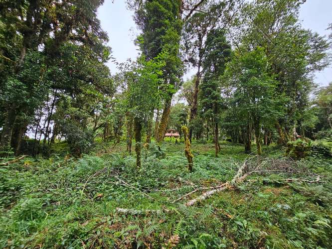 Venta de Lote en Cañón del Guarco | 2.440 m² | Alta Plusvalía - Imagen 18