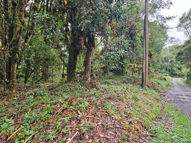 Venta de Lote en Cañón del Guarco | 2.440 m² | Alta Plusvalía - Imagen 16
