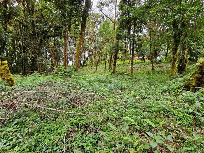 Venta de Lote en Cañón del Guarco | 2.440 m² | Alta Plusvalía - Imagen 8
