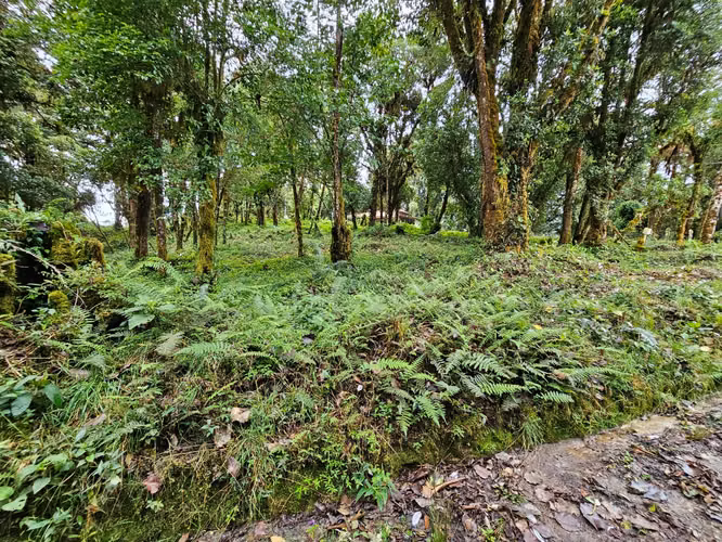 Venta de Lote en Cañón del Guarco | 2.440 m² | Alta Plusvalía - Imagen 3