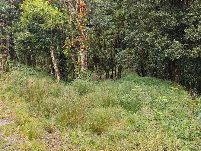 Venta de Lote en Cañón del Guarco | 2.440 m² | Alta Plusvalía - Imagen 4