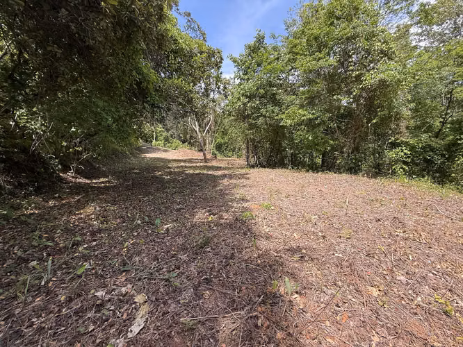 Lote de 5376m2 en venta, Guanacaste, Lomas del Mar - Imagen 6