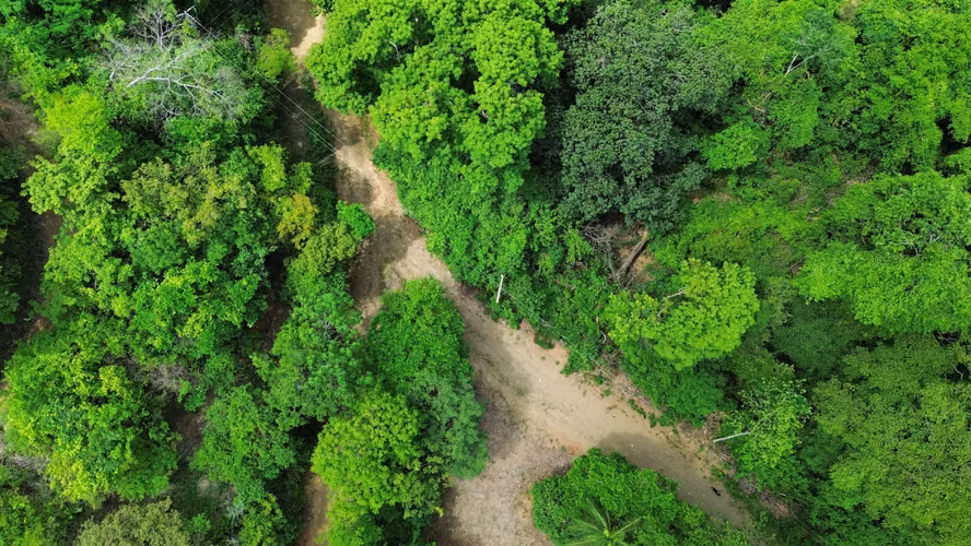 Lote de 5376m2 en venta, Guanacaste, Lomas del Mar - Imagen 4