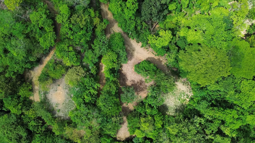 Lote de 5376m2 en venta, Guanacaste, Lomas del Mar - Imagen 3
