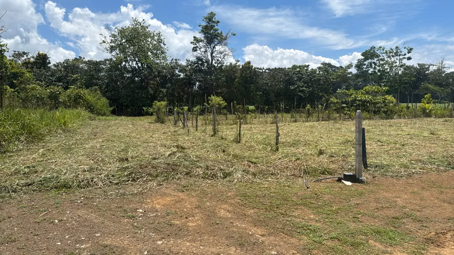 Venta de lote de 300 m2 en La Palma de Puerto Jiménez