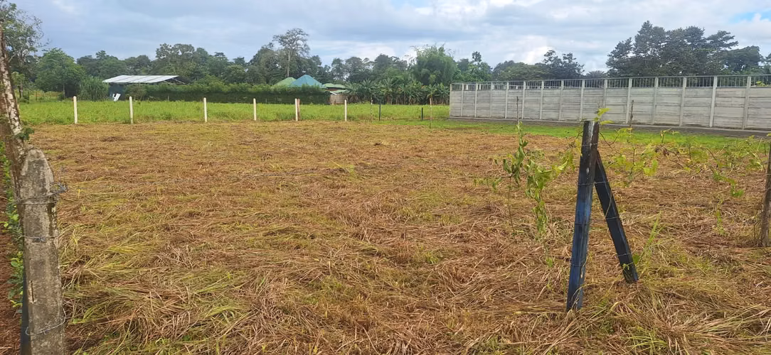 300 m2 lot for sale in Puerto Jiménez - La Palma