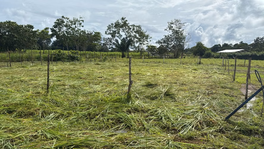 Venta de lote de 300 m2 en La Palma de Puerto Jiménez