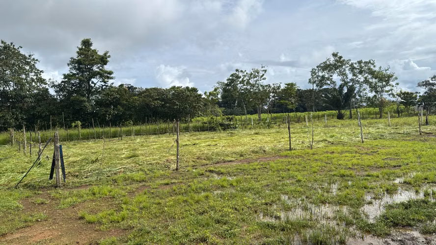 Venta de lote de 300 m2 en La Palma de Puerto Jiménez