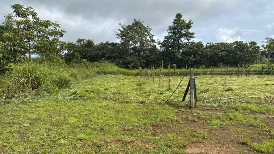 Venta de lote de 300 m2 en La Palma de Puerto Jiménez