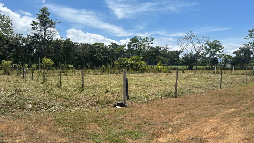 Venta de lote de 300 m2 en La Palma de Puerto Jiménez