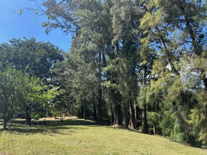 Venta de lote, 1,621 m² por Radial Santa Ana - Imagen 7