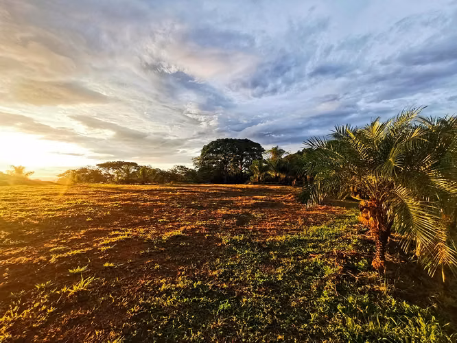 ¡Precio Rebajado! Lote con Vista al Océano y a las Montañas cerca de Atenas y la Playa - Imagen 4