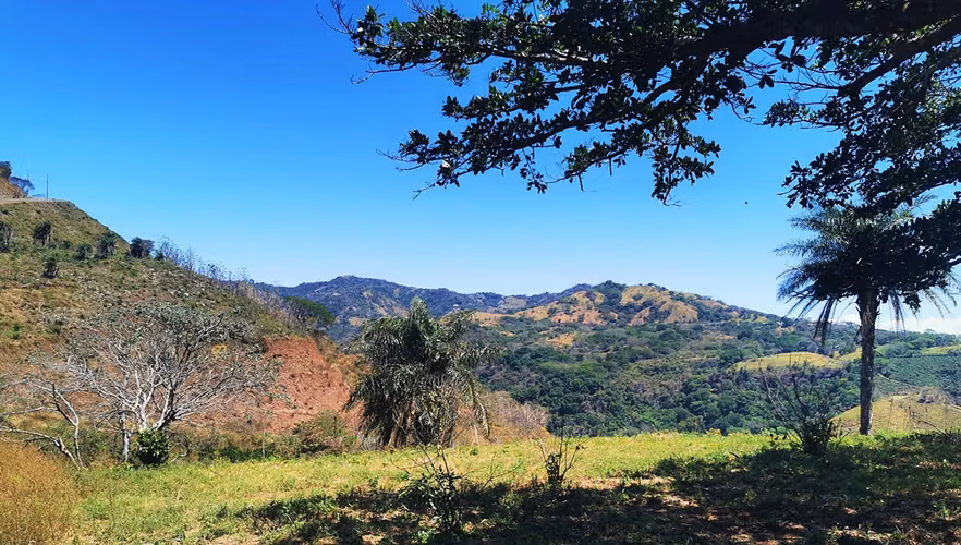 ¡Precio Rebajado! Lote con Vista al Océano y a las Montañas cerca de Atenas y la Playa - Imagen 16