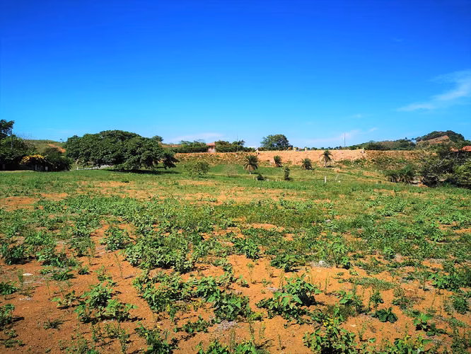 ¡Precio Rebajado! Lote con Vista al Océano y a las Montañas cerca de Atenas y la Playa - Imagen 10