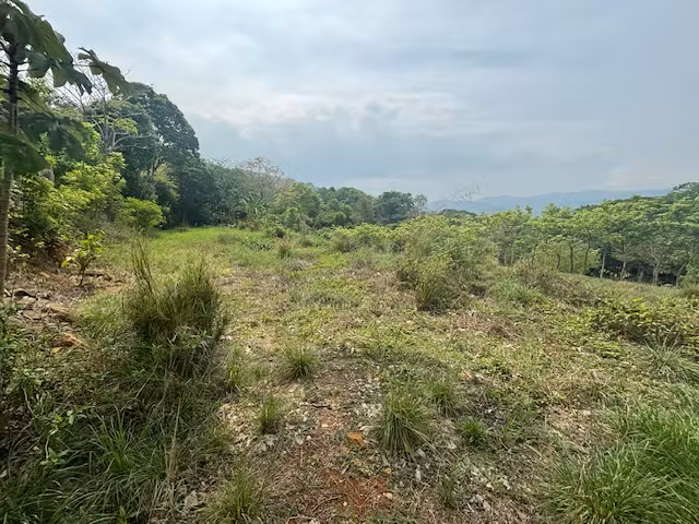 Lote a menos de 5 minutos de la 27 en el campo de Atenas