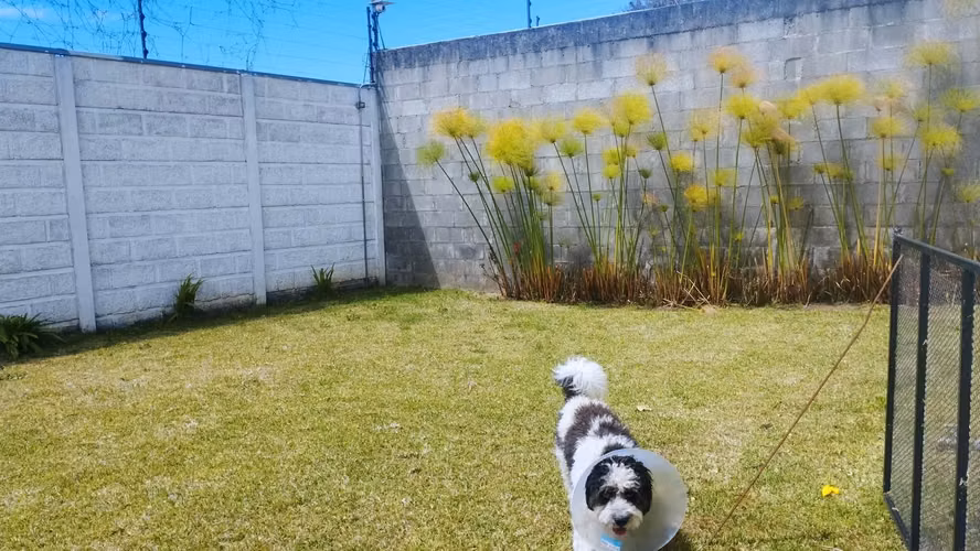ALQUILER APARTAMENTO GEMELO UN NIVEL | SAN ISIDRO, HEREDIA - Imagen 8
