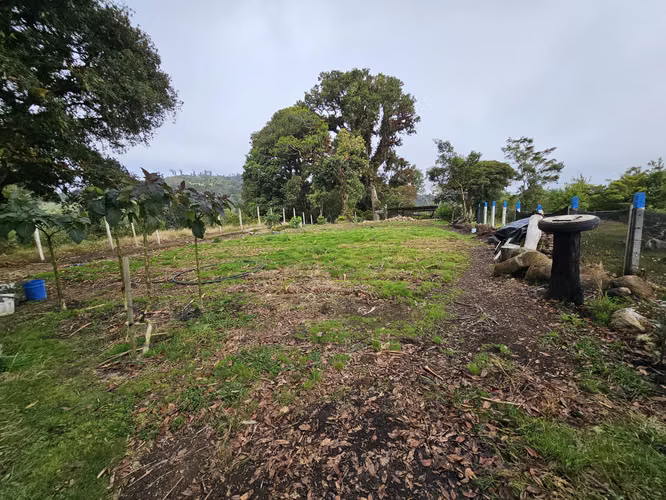 Lote Plano de 1.000 m² con Pozo y Vista al Irazú en Cartago