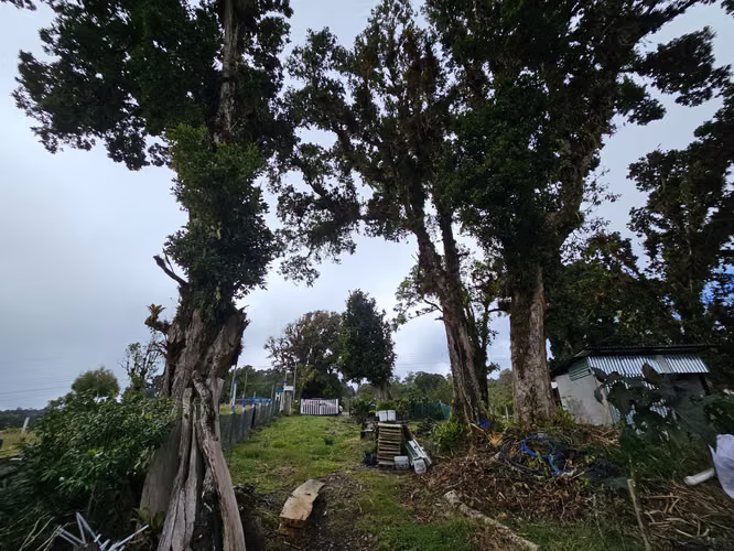 Lote Plano de 1.000 m² con Pozo y Vista al Irazú en Cartago