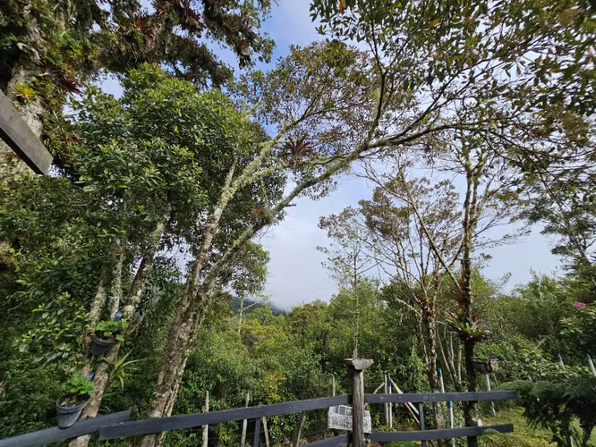 Lote Plano de 1.000 m² con Pozo y Vista al Irazú en Cartago
